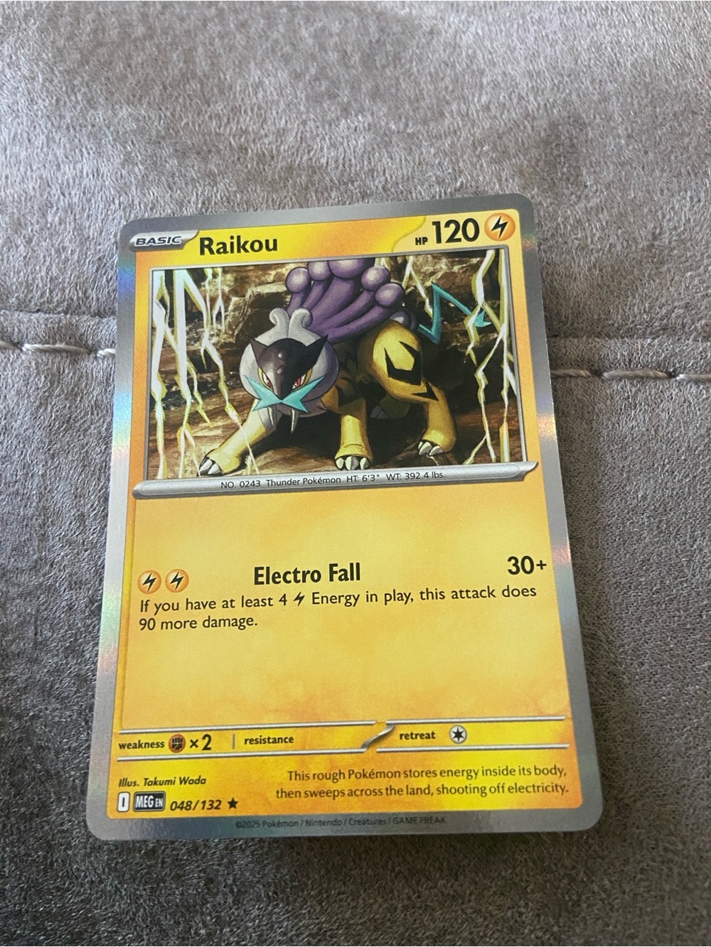 Raikou Holofoil (048/132) Mega Evolution